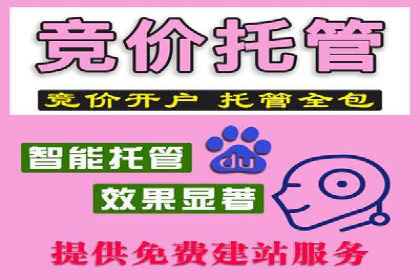某电商平台的SEM广告投放全流程解析